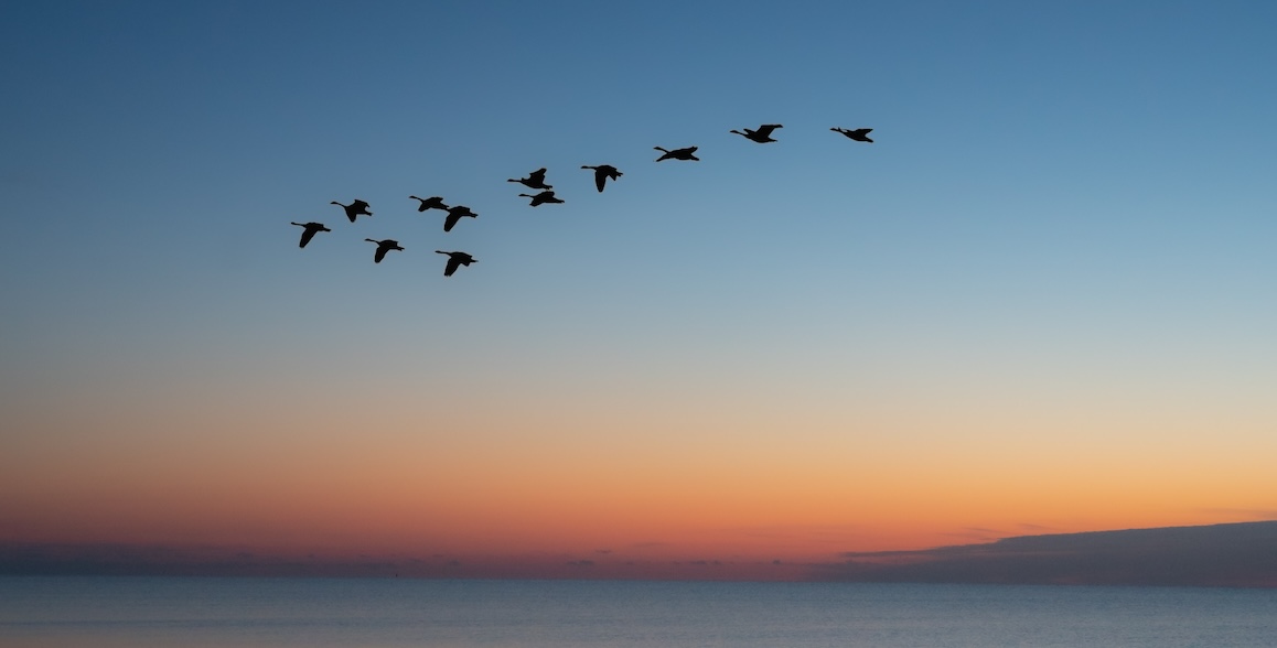A Platform Engineer's Guide to Successful Kubernetes Migration